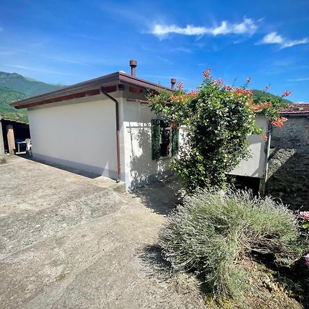 فيلا Casa Della Nonna بانيوني المظهر الخارجي الصورة